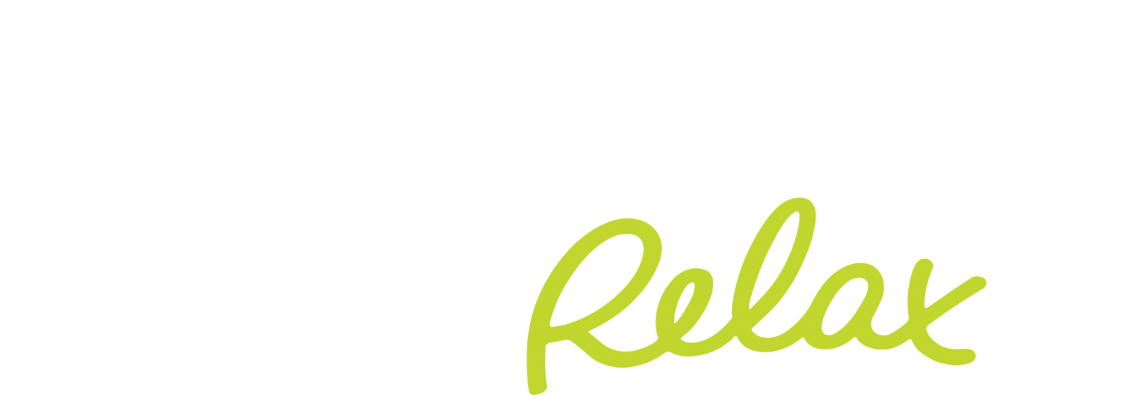 Logotipo Borocanfor Relax diapo